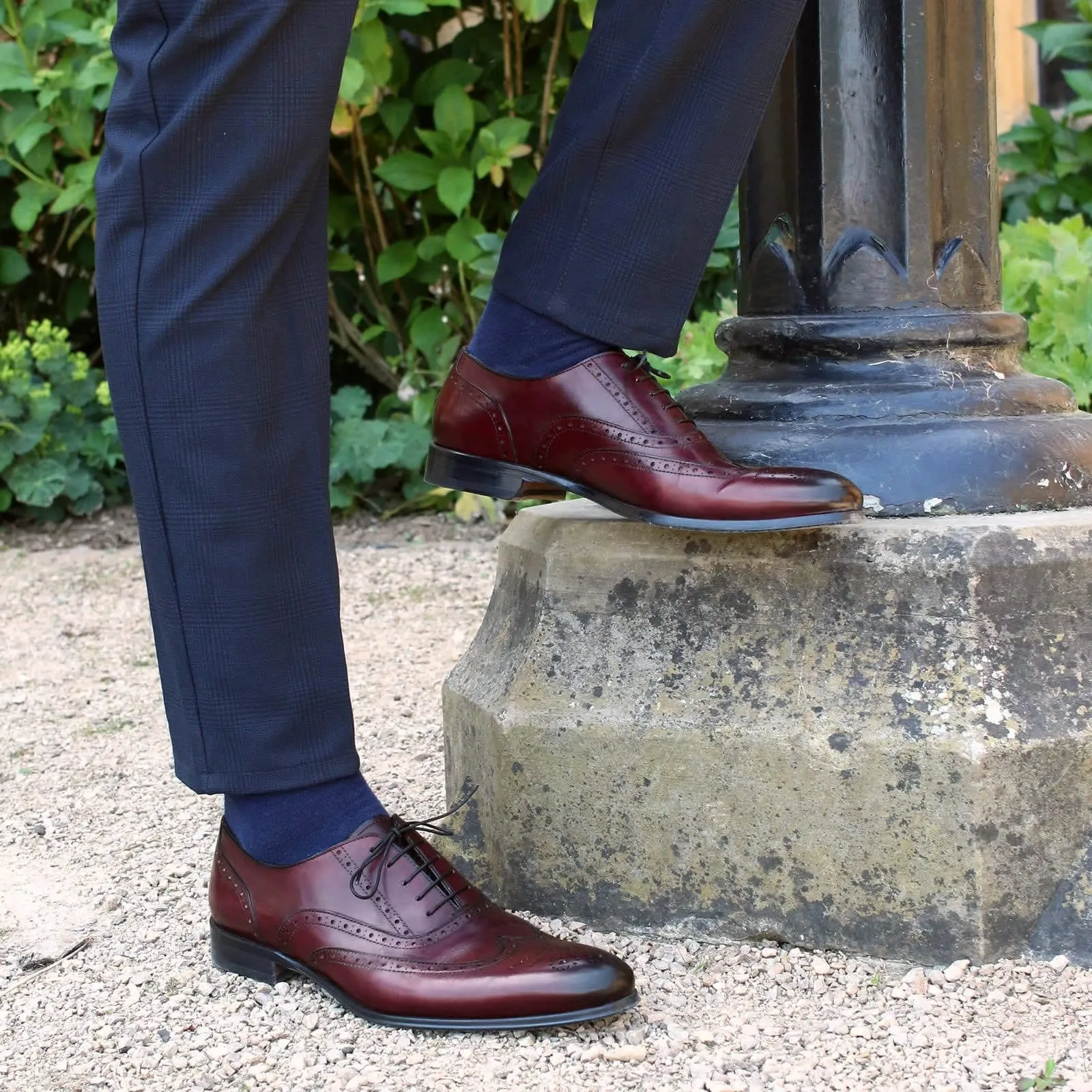 Cambridge Wingtip Oxford Brogue Oxblood