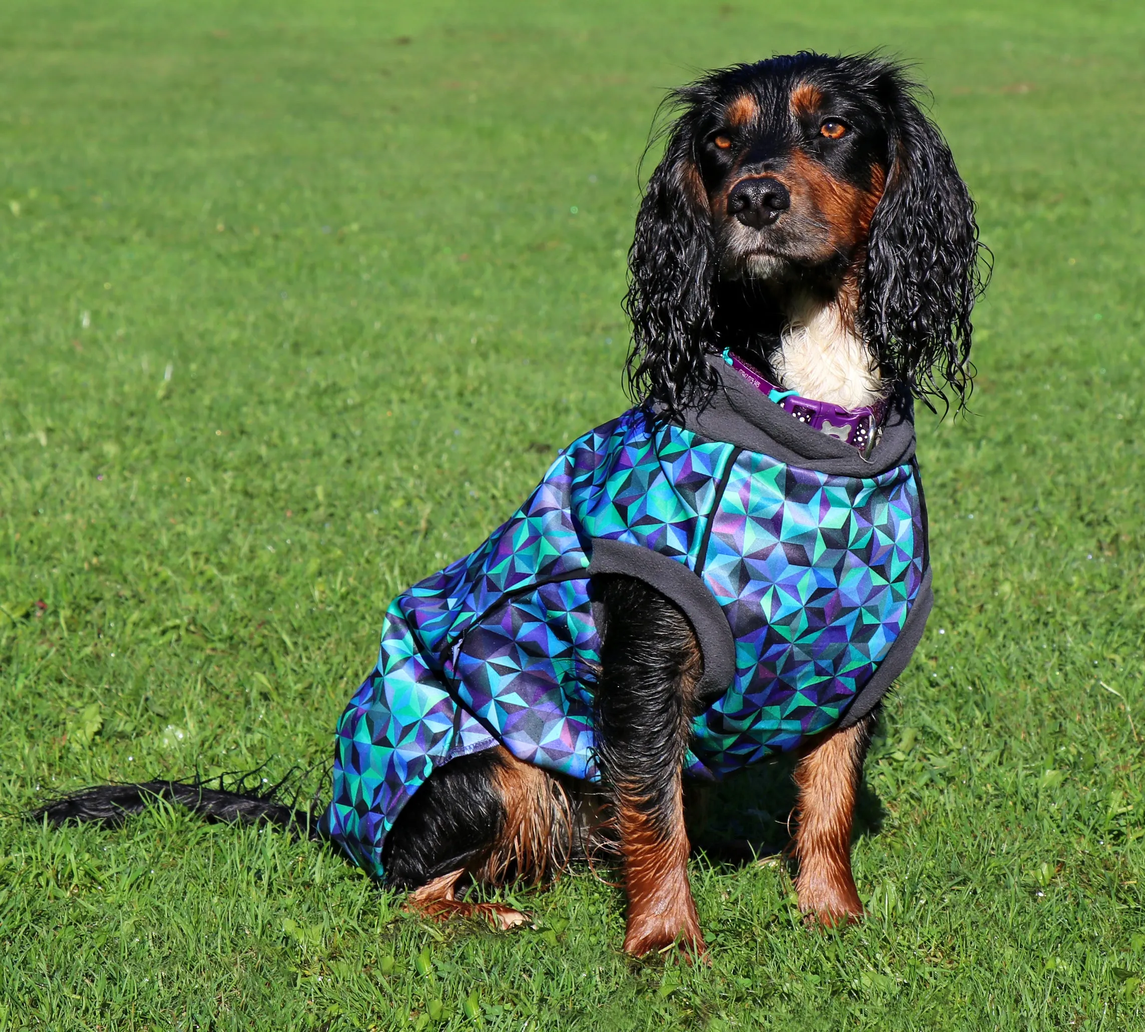 Infinity Waterproof Microfleece McTog Dog Jumper