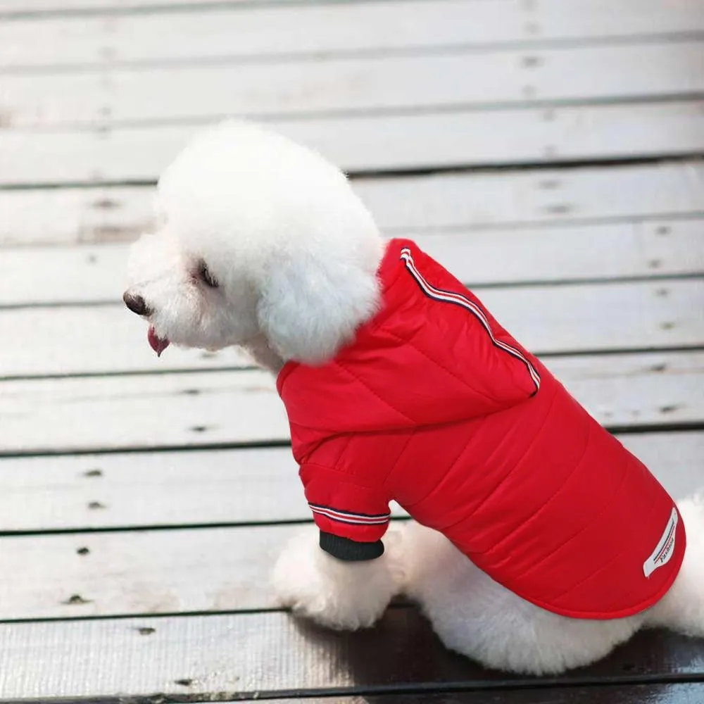 Warm Fleece Jacket for Pets/Dogs for Small Medium Dog